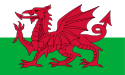 welsh 